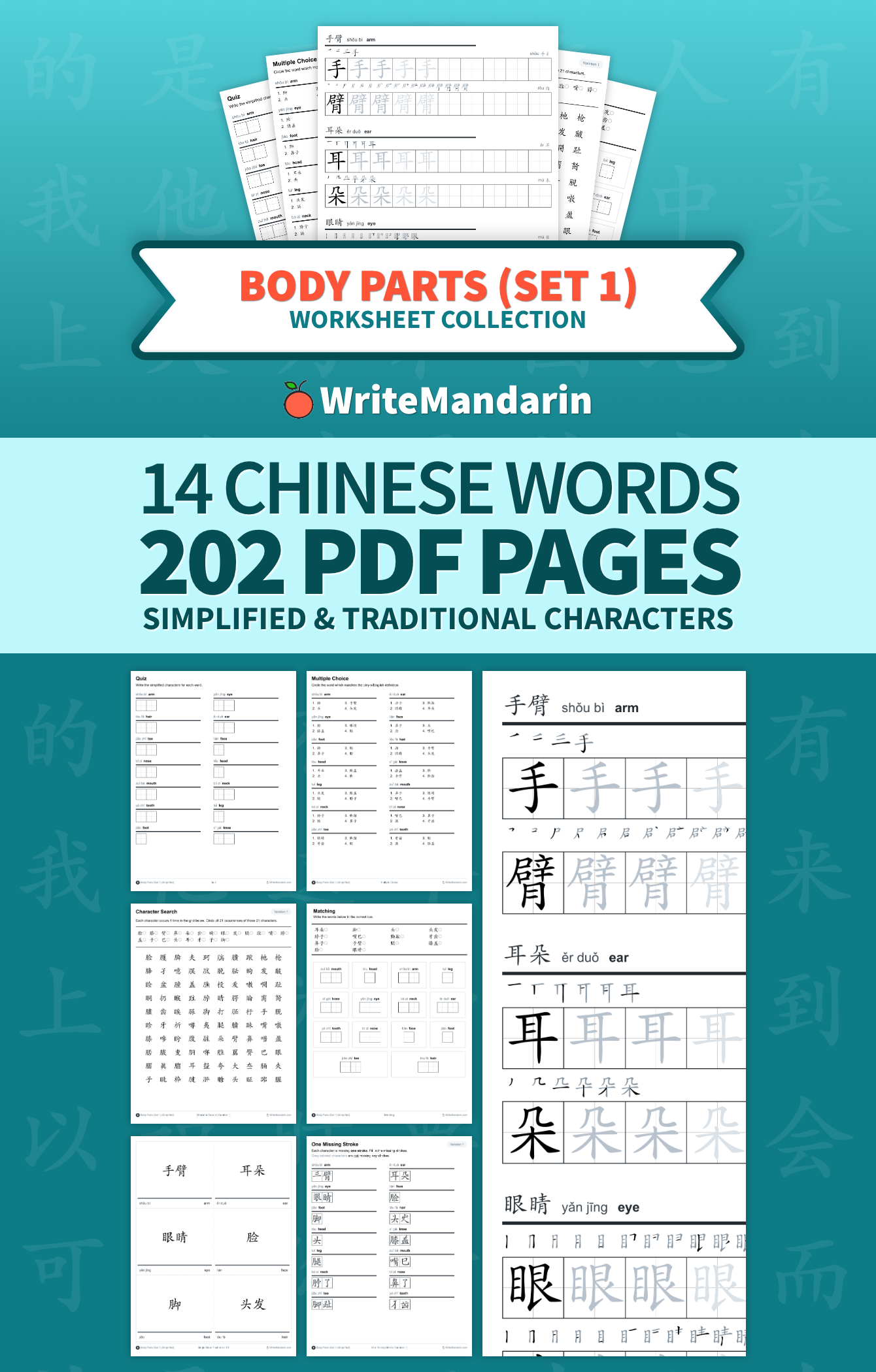 Preview image of Body Parts (Set 1) worksheet collection