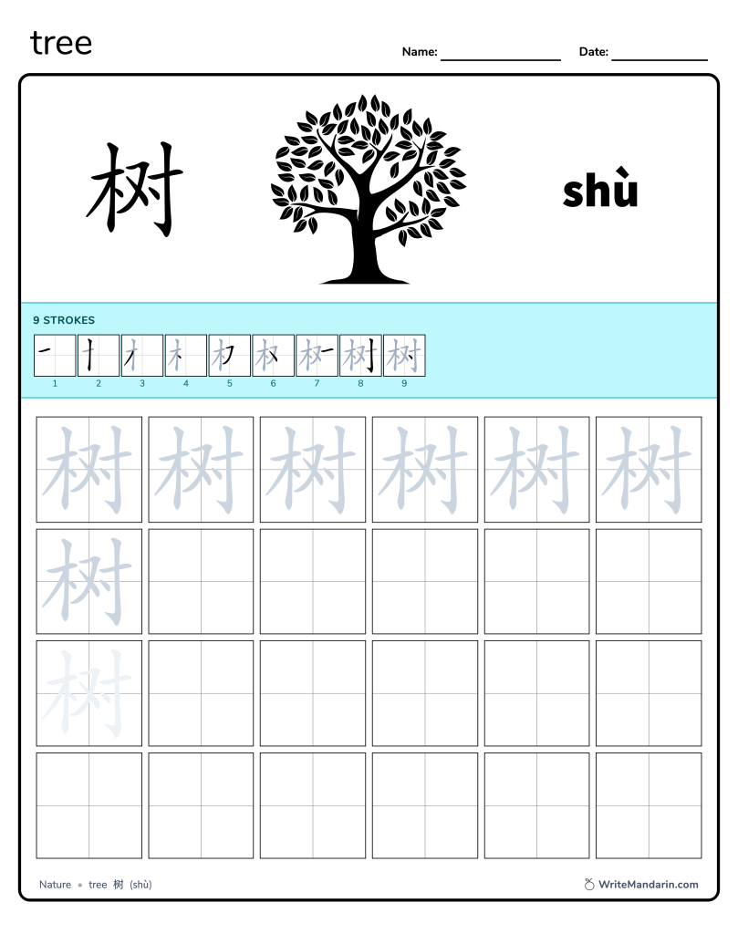 Preview image of Tree 树 worksheet