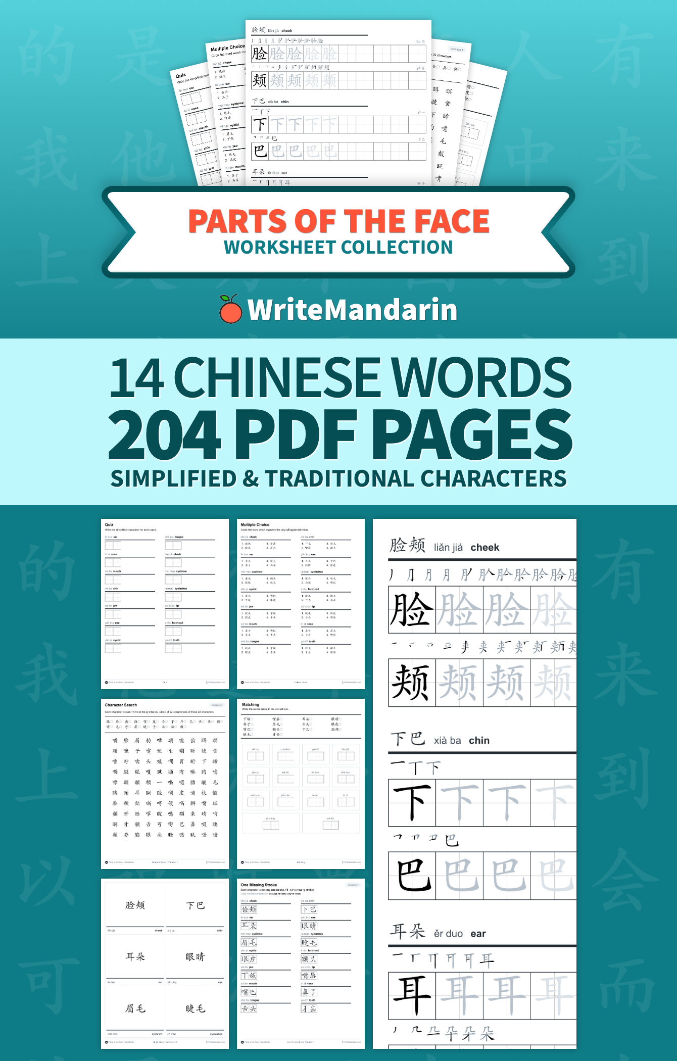 Preview image of Parts of the Face worksheet collection